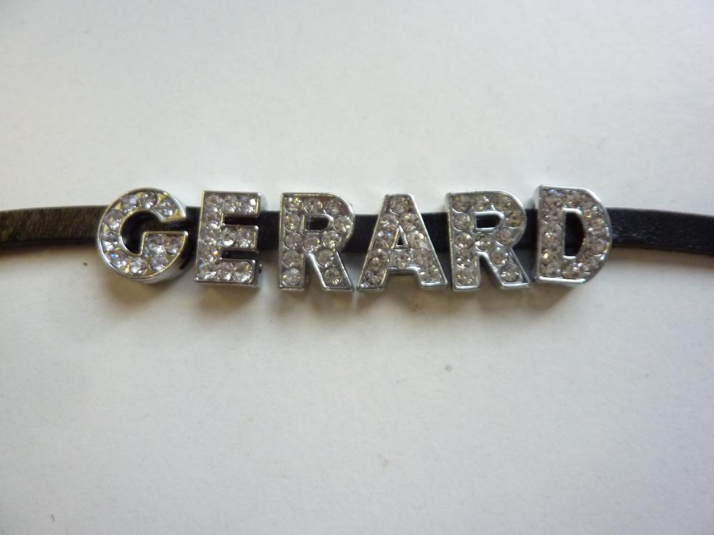 SHUIFLETTERS - LEERSCHUIVERS met strass steentjes, Ophalen of Verzenden, Nieuw, Hanger