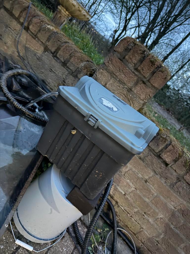 Diversen vijvervissen en filter + pomp, Dieren en Toebehoren, Karper of Koi