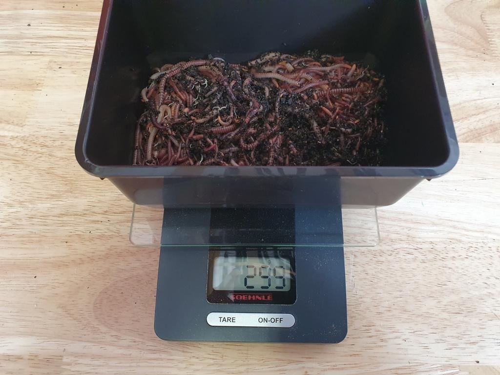 Wormen., Tuin en Terras, Aarde en Mest, Ophalen