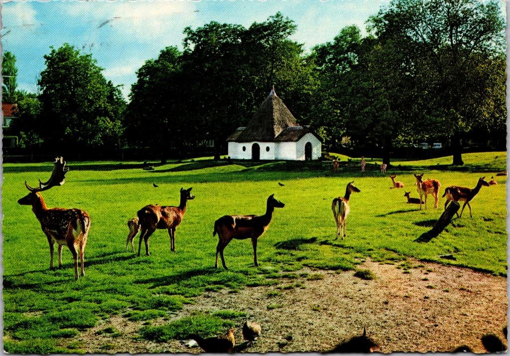 Bergen - Hertenkamp (1969), Verzenden, 1960 tot 1980, Gelopen, Noord-Holland