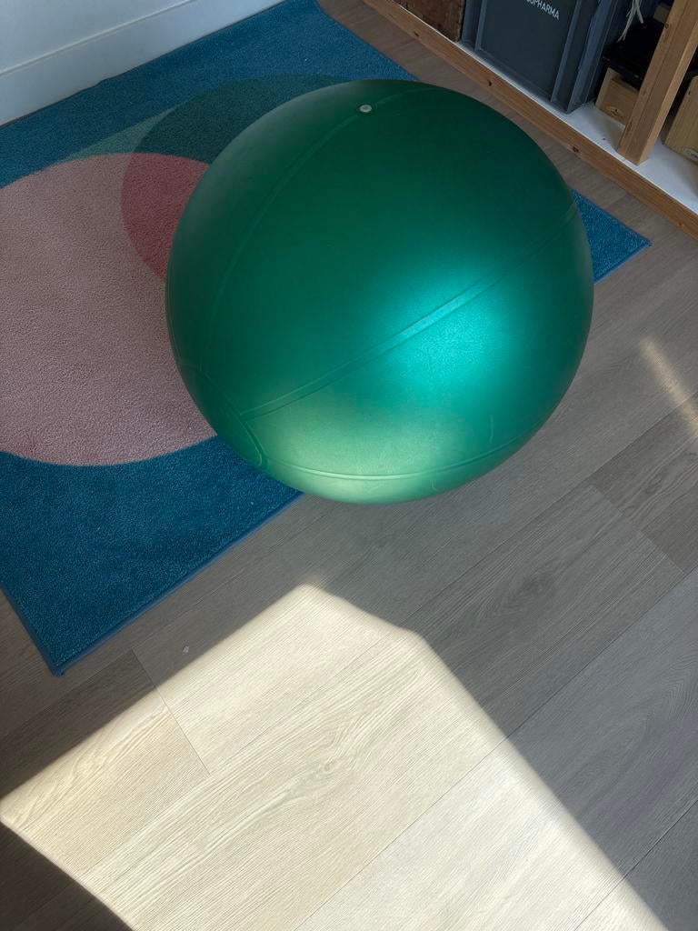 Togu Redo Gymnastiekbal 65 cm - Groen, Sport en Fitness, Fitnessmaterialen, Ophalen, Zo goed als nieuw, Buik, Fitnessbal