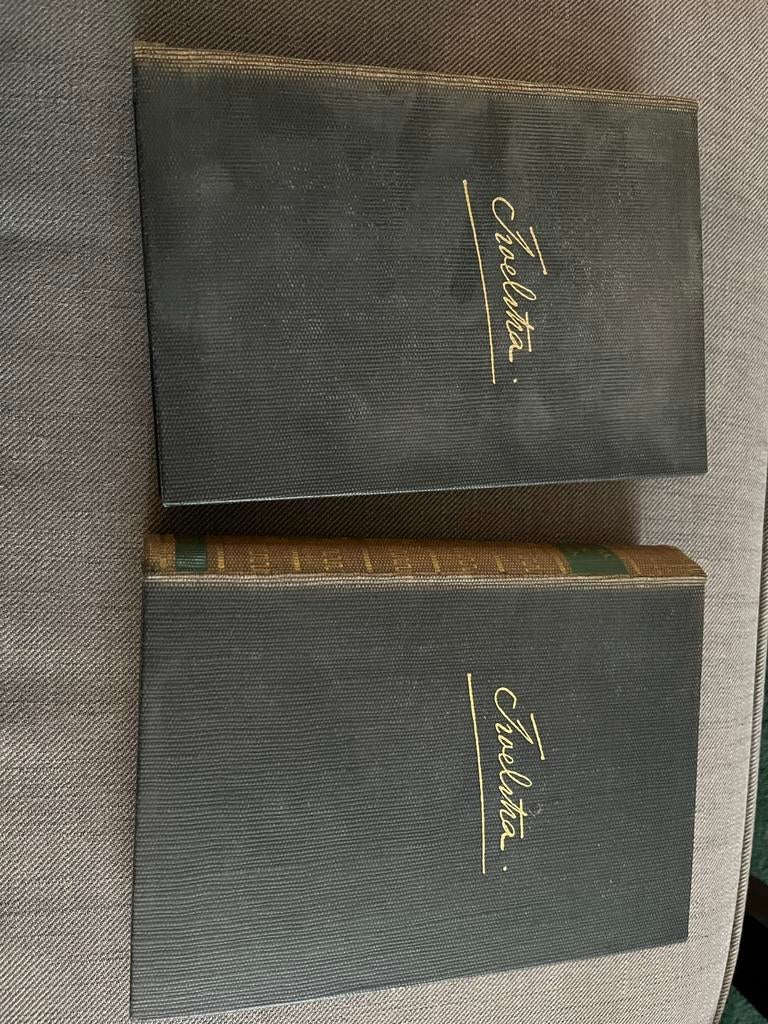 Troelstra, Boeken, Ophalen of Verzenden, Gelezen