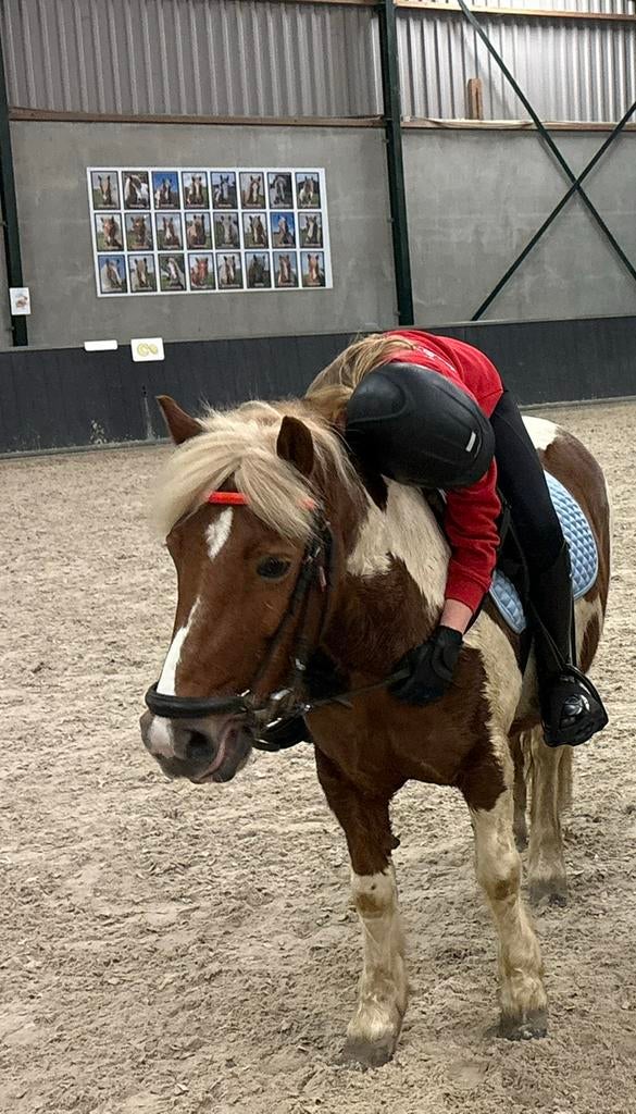 Gezocht! Verzorgpaard of pony!, Ophalen, Nieuw