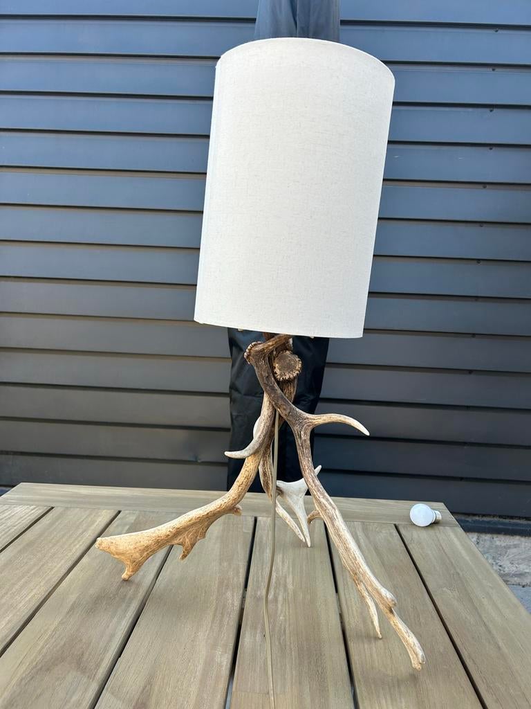 Unieke Herten Gewei Lamp - Exclusief Lampenkap, Ophalen, Gebruikt, Overige materialen, 50 tot 75 cm