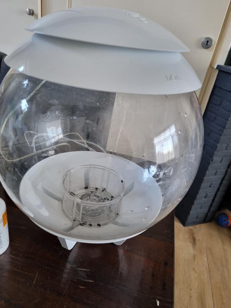 2 biorb aquariums met accessoires alles voor 125,-, Ophalen of Verzenden