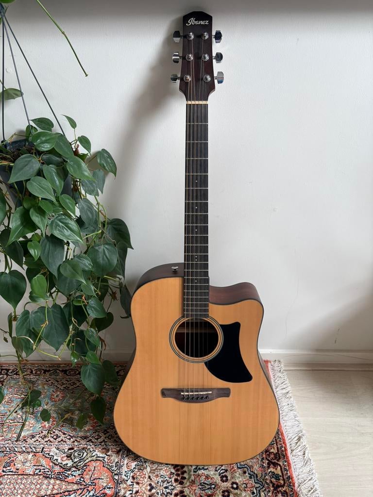 Ibanez AAD50CE-LG, Ophalen, Zo goed als nieuw, Solid body, Ibanez