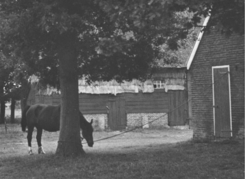 992312	Meppen	Drenthe	1974	Gelopen met postzegel, Ophalen of Verzenden, 1960 tot 1980, Gelopen, Drenthe