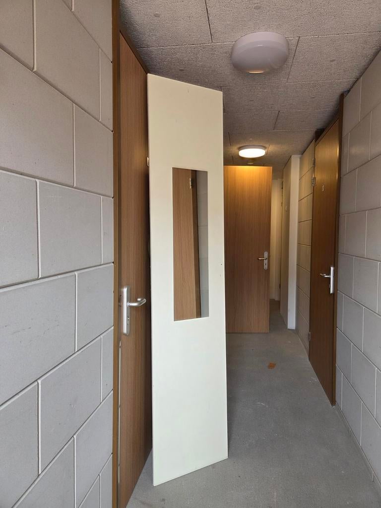 PAX kastdeur 50x230 met spiegel