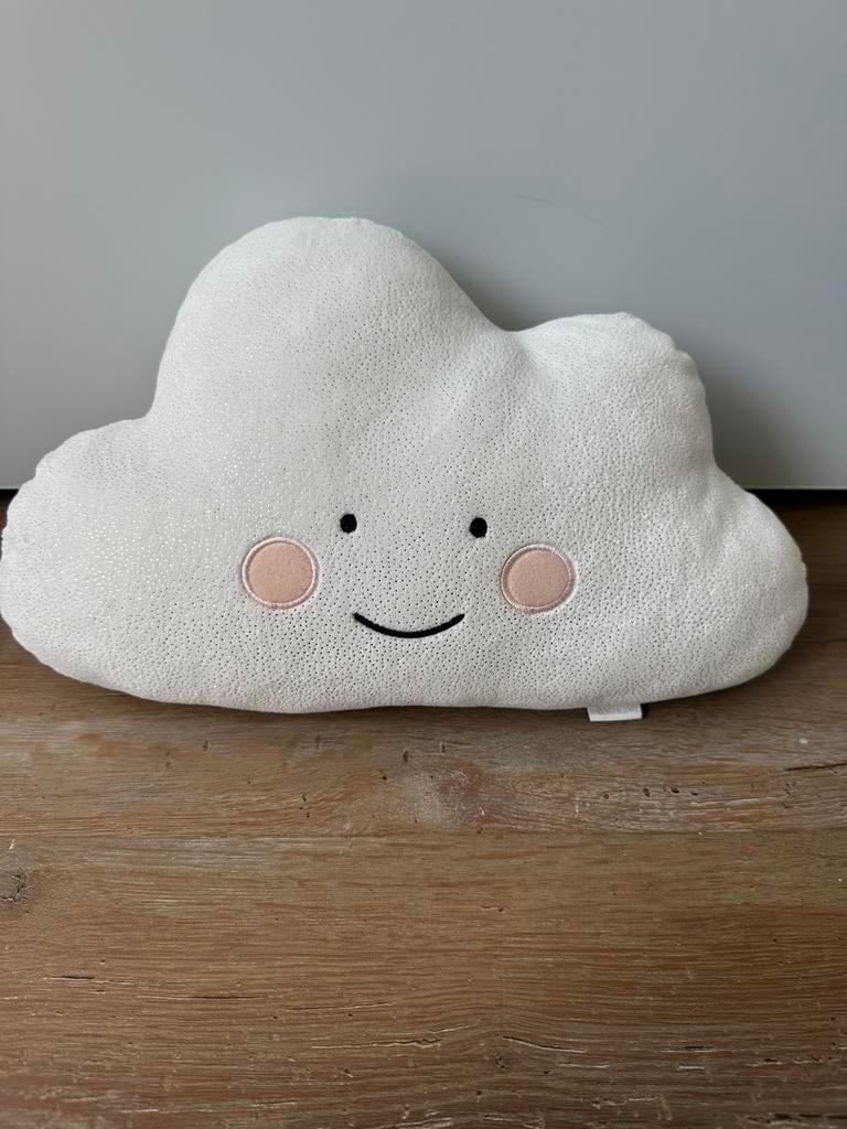 Kussen van H&M home, Ophalen of Verzenden, Gebruikt, Kleed of Kussen