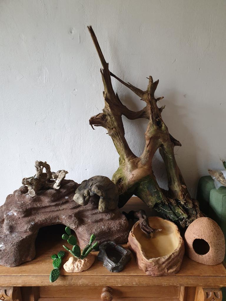 Terrarium toebehoren. Ophalen in Twello, Dieren en Toebehoren, Reptielen en Amfibieën | Toebehoren, Ophalen