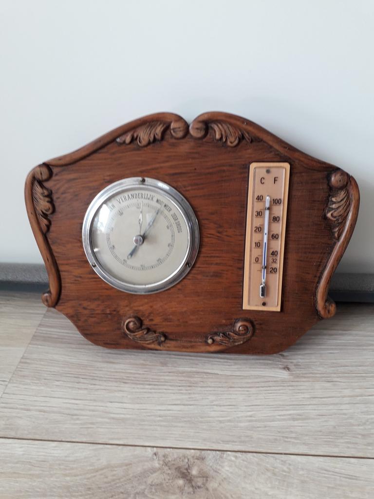 Markplaats, Mannelijk, Postduif