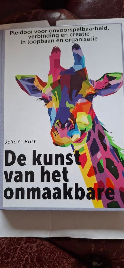 De kunst van het onmaakbare - Jelte C. Krist, Boeken, Ophalen of Verzenden, Zo goed als nieuw