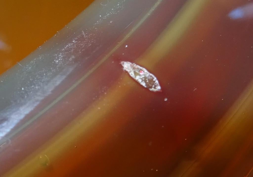 Willem Heesen - unica schaal, Ophalen of Verzenden