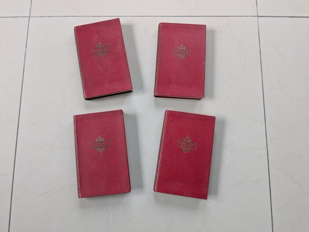 Oude boeken. Merijntje Gijzen, Ophalen, Gelezen, A.M. de Jong, Nederland