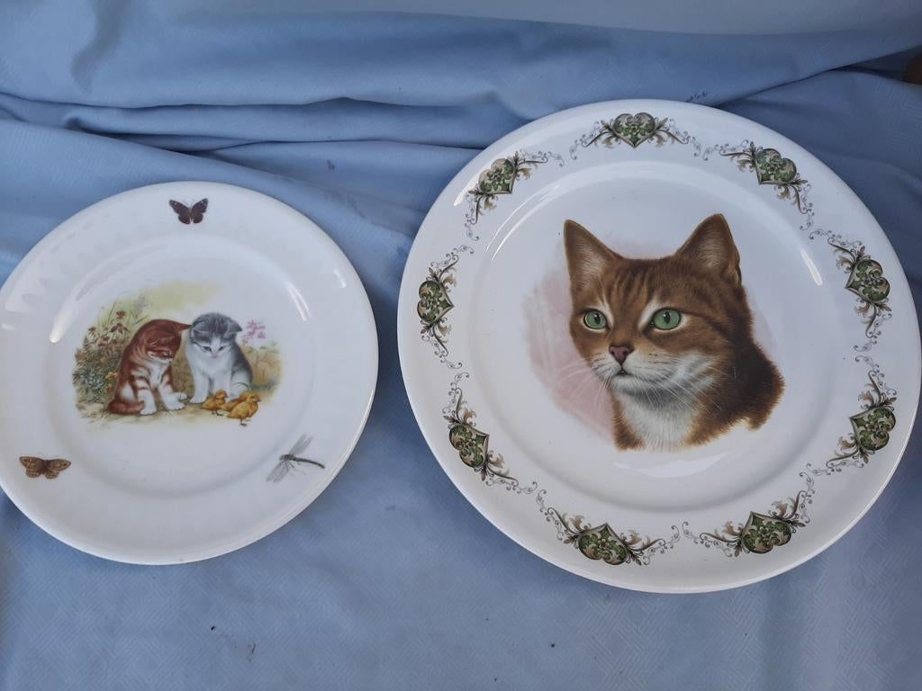 2 borden met kattenafbeelding, Ophalen of Verzenden