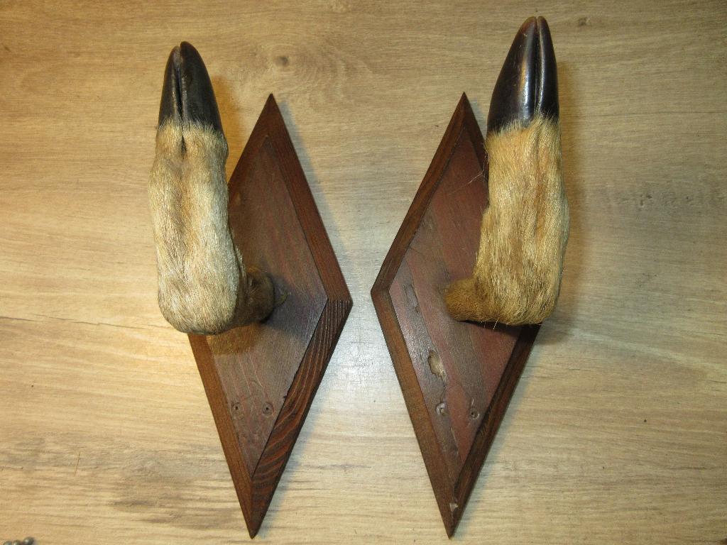 Kapstok van bokkepoten taxidermie, Ophalen of Verzenden