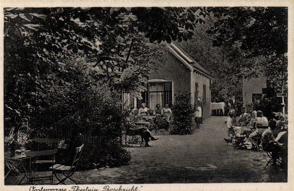 Oostvoorne - Theetuin Boschzicht. - volk - ongelopen, Verzenden, 1920 tot 1940, Ongelopen, Noord-Brabant