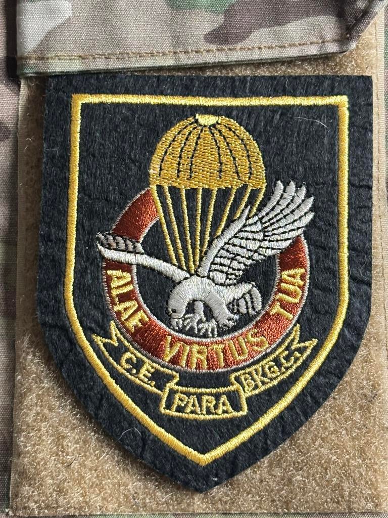 Belgisch para embleem, Verzenden, Landmacht, Overige gebieden, Embleem of Badge