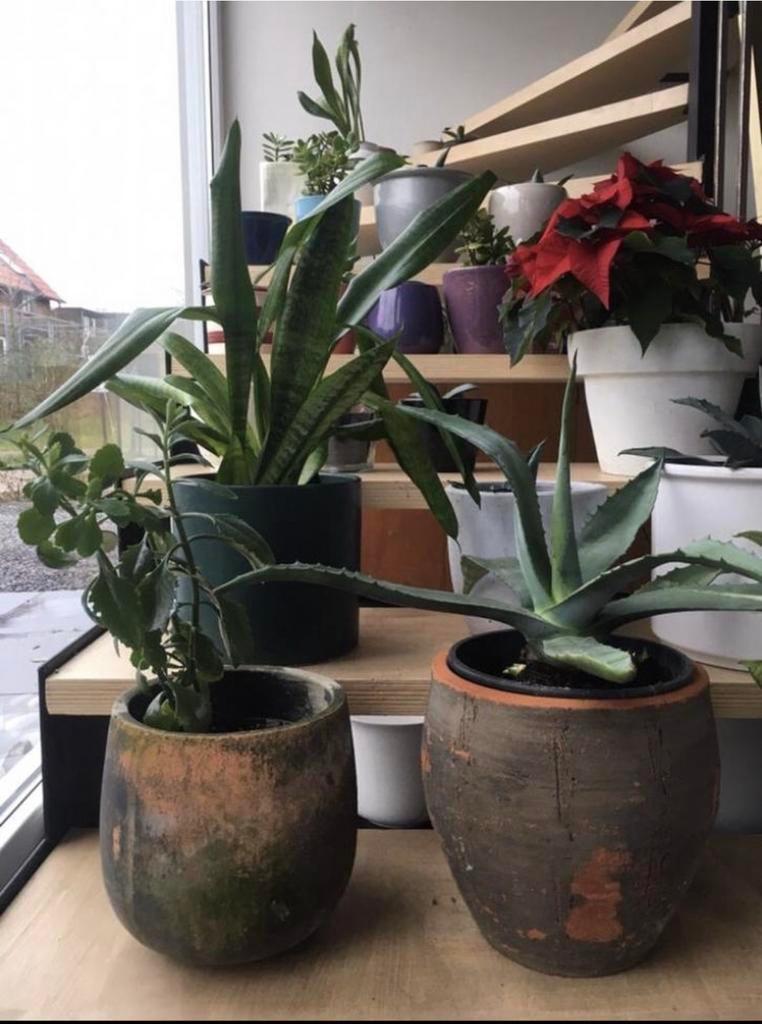 Diverse vintage terracotta grote bloempotten binnen overpot, Rond, Binnen, Ophalen of Verzenden, Zo goed als nieuw