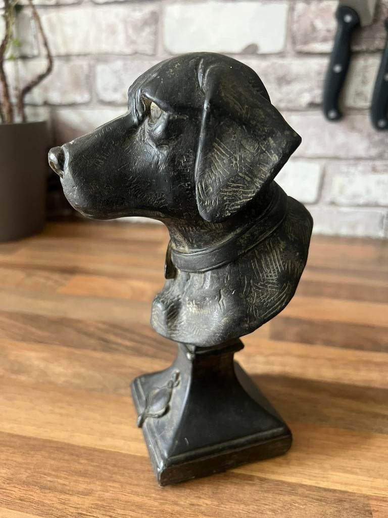 Sculptuur buste van een hond, Ophalen of Verzenden, Zo goed als nieuw