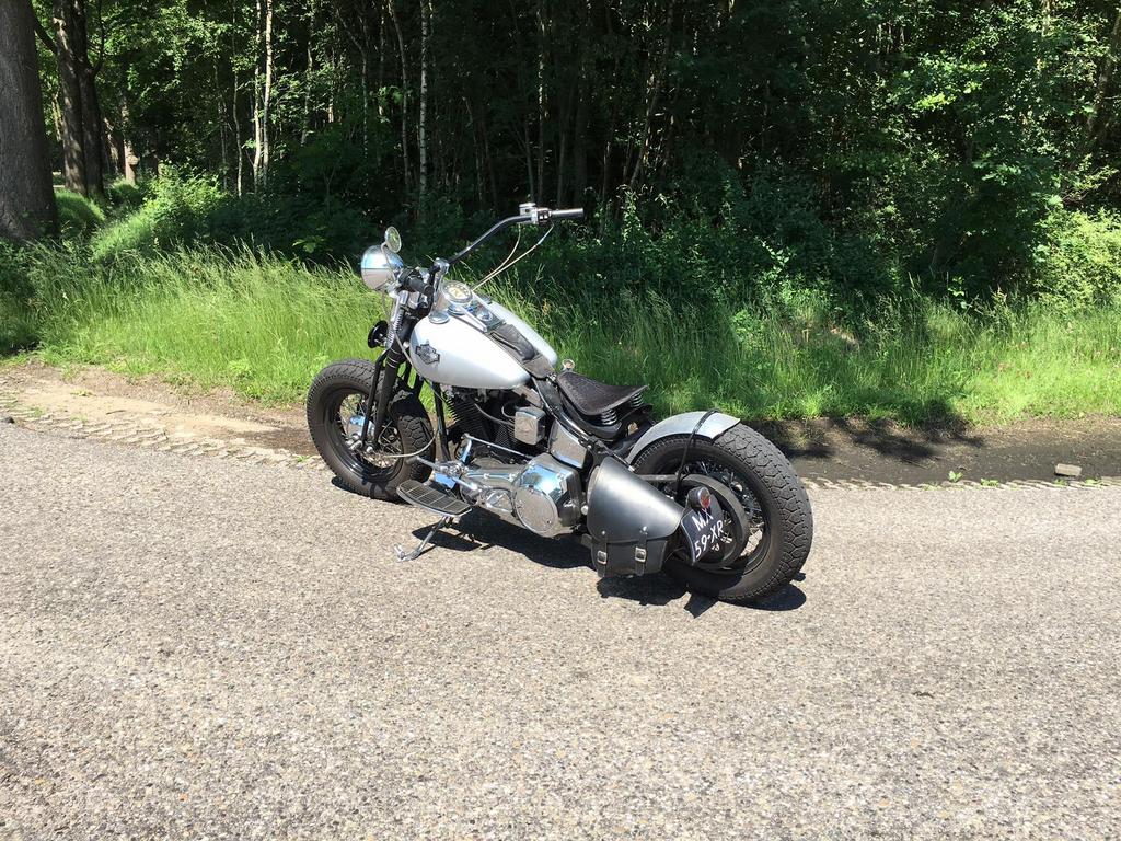 Harley davidson evo springer