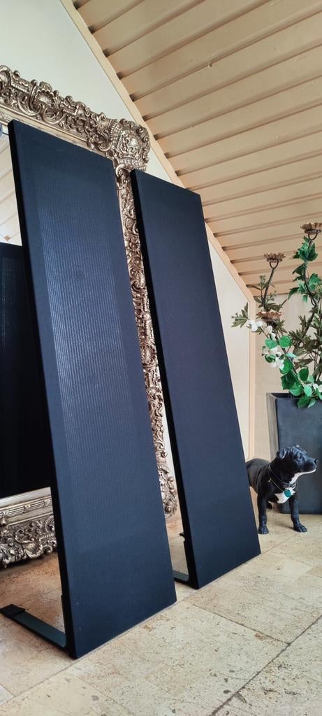 Magnepan LRS+ Quasi Ribbon Dipool - Speaker Black ore White., Overige merken, Nieuw, Ophalen of Verzenden, 120 watt of meer