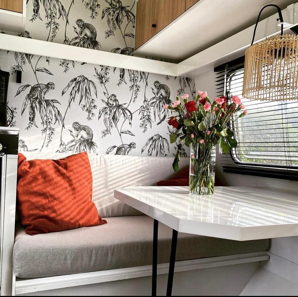 Te huur: Hippe retro/vintage Regenboog Kip caravan