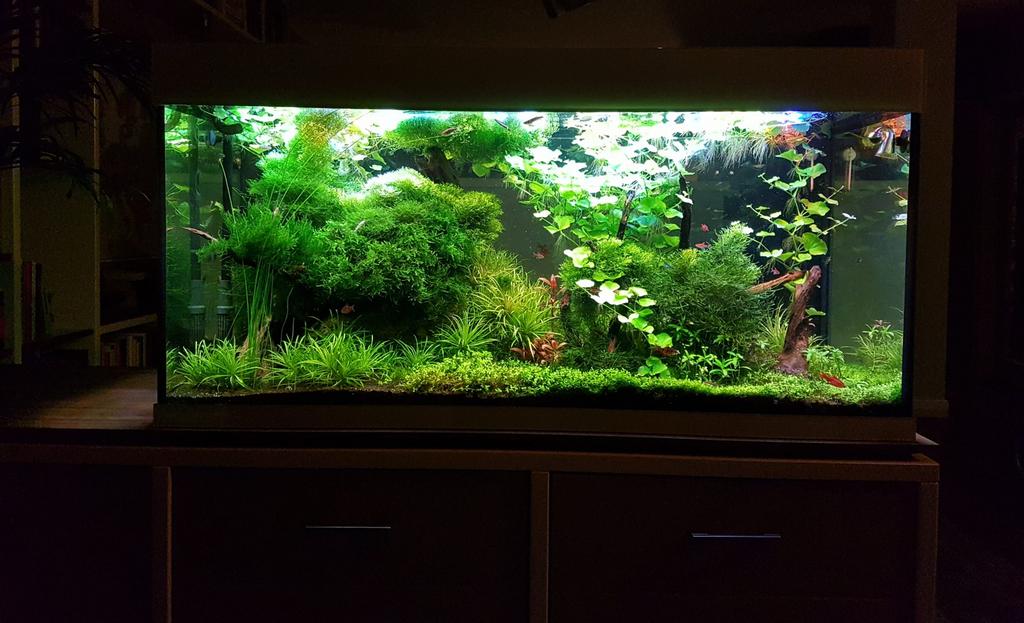 Aquarium doorzicht 360 liter compleet, Ophalen, Zo goed als nieuw, Leeg aquarium