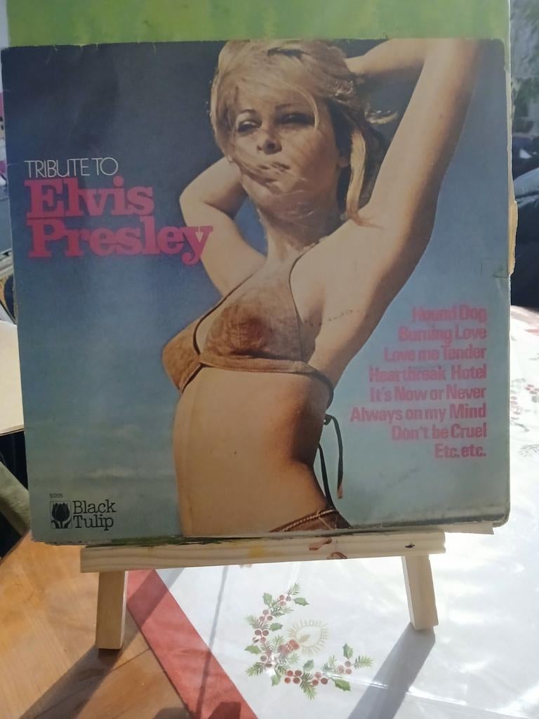 Elvis Presley Tribute Vinyl - Black Tulip, Ophalen of Verzenden, Gebruikt, 12 inch, Rock-'n-Roll
