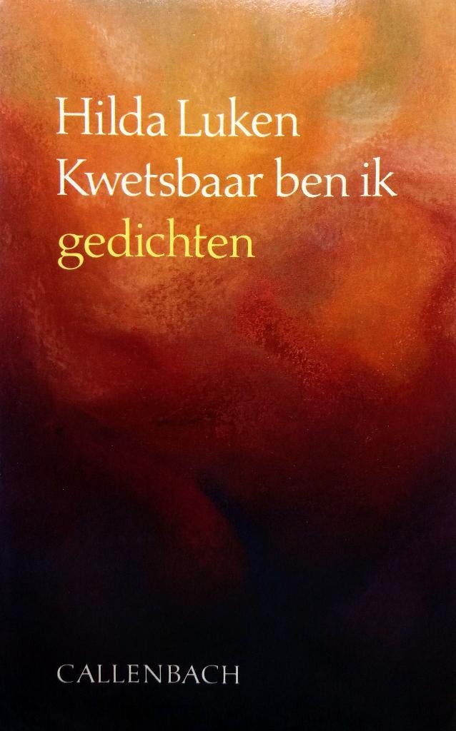 Hilda Luken - Kwetsbaar ben ik, Ophalen of Verzenden, Zo goed als nieuw, Eén auteur