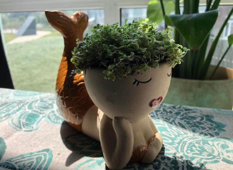 Mica decorations zeemeermin bloempot mermaid, Rond, Ophalen of Verzenden, Aardewerk, Minder dan 40 cm