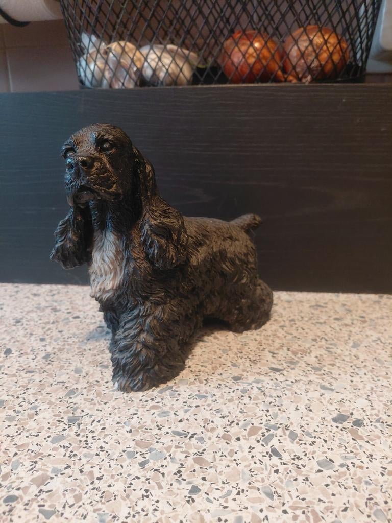 Amerikaanse cockerspaniel, Ophalen of Verzenden, Zo goed als nieuw, Overige typen