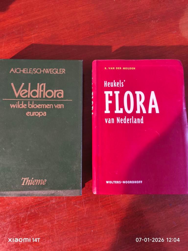 Veldflora & Heukels' Flora - 2 Boeken, Boeken, Ophalen of Verzenden, Gelezen, Bloemen, Planten en Bomen, Aichele/Schwegler, R. van der Meijden