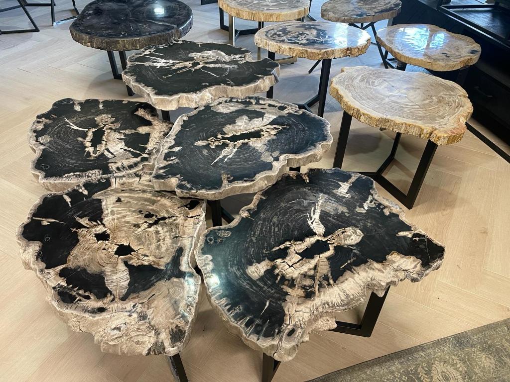 Versteend Hout Salontafels  - Fossiele versteende salontafel, Nieuw, Overige vormen, Minder dan 50 cm, 50 tot 100 cm