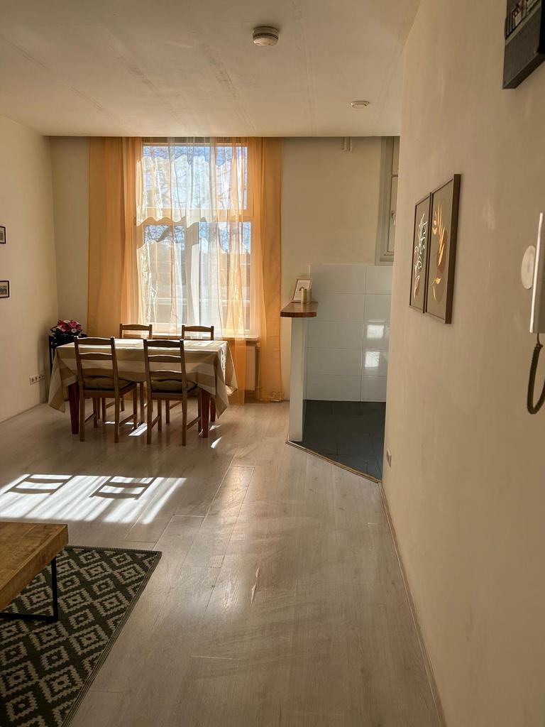 STUDIO FOR RENT DEN HAAG, Huizen en Kamers, Den Haag