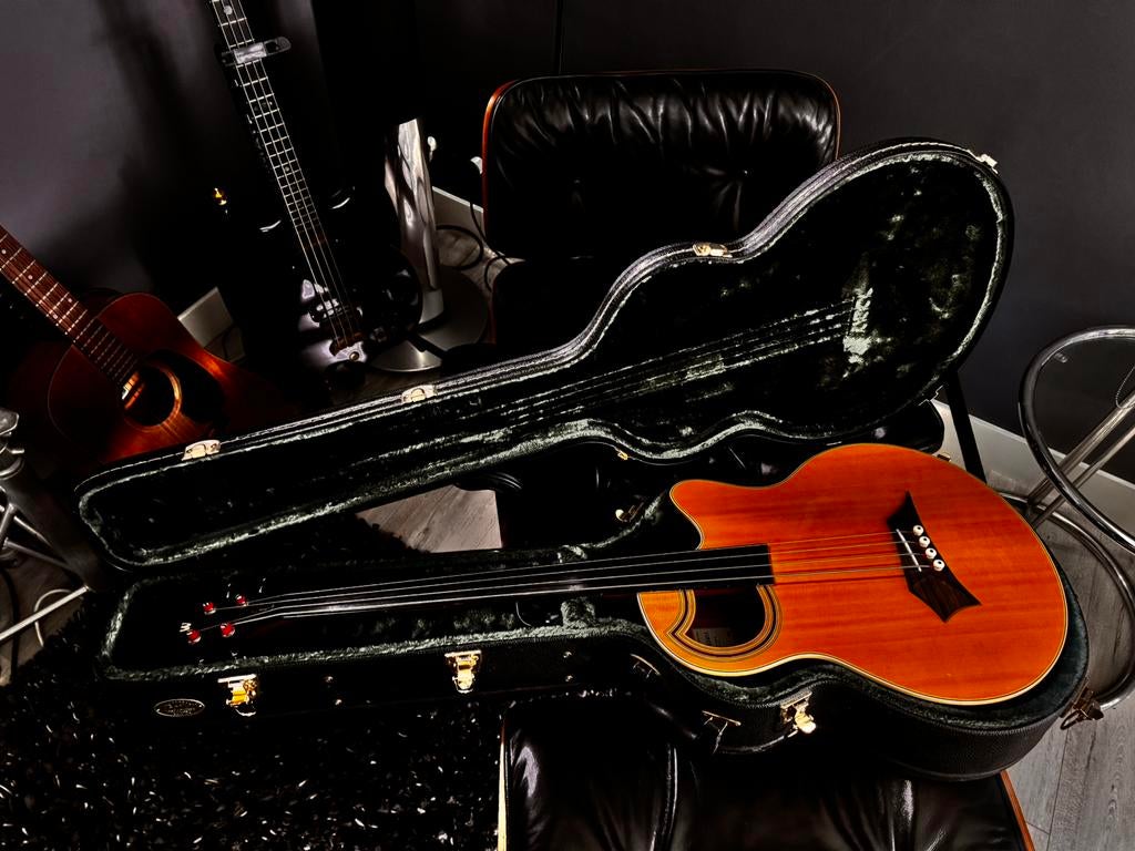 Alien rockbass warwick fretless semi akoestische bas, Ophalen, Gebruikt, Semi-akoestisch, Fretloos