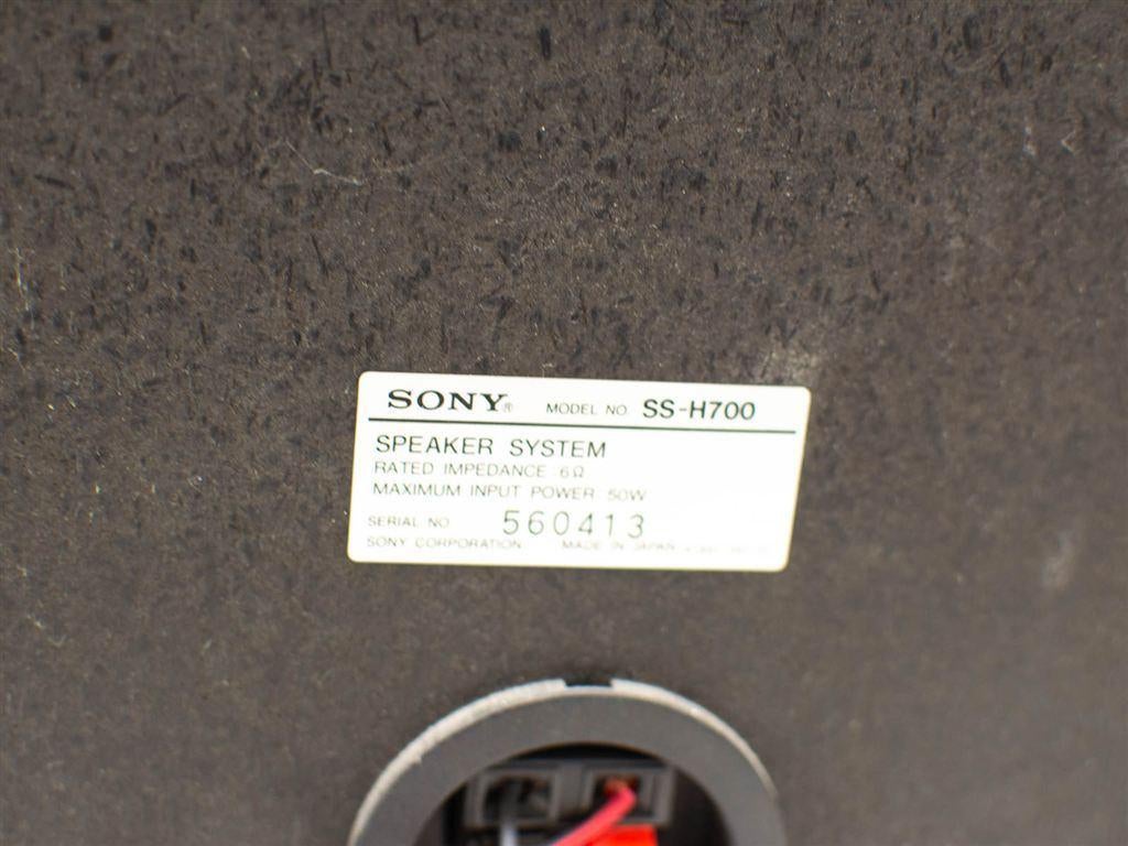 2 sony luidsprekers 33515, Audio, Tv en Foto, Luidsprekers, Gebruikt, Ophalen of Verzenden, Sony, 120 watt of meer
