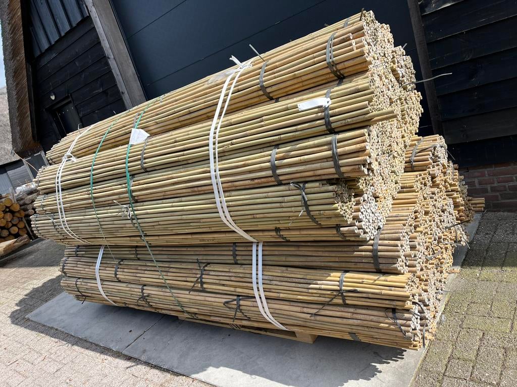 Bonenstokken bamboestok tonkin moes/groentetuin plantensteun, Ophalen of Verzenden, Nieuw, 250 cm of meer, Palen