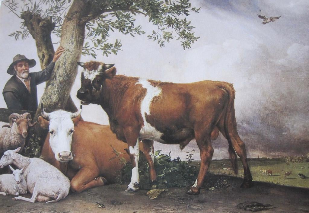 De stier van Potter op nieruwe ansichtkaart, Verzenden, 1980 tot heden, Ongelopen, Overige thema's