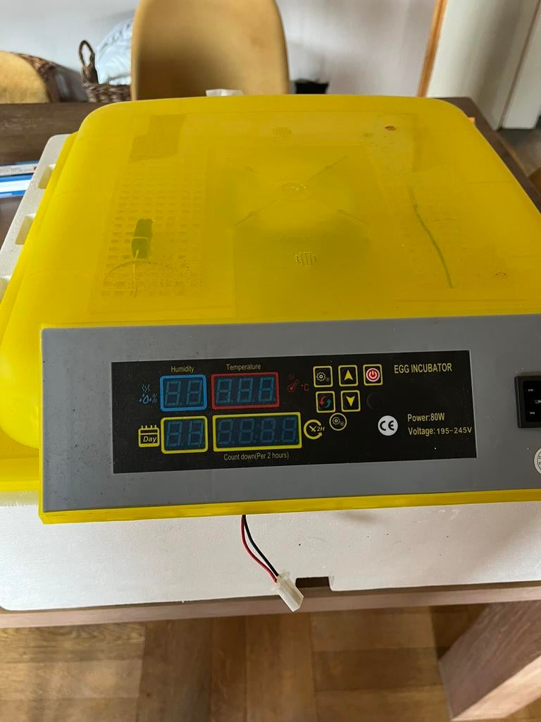 Broed machine. Automaat keren, Dieren en Toebehoren, Geslacht onbekend, Gans of Zwaan