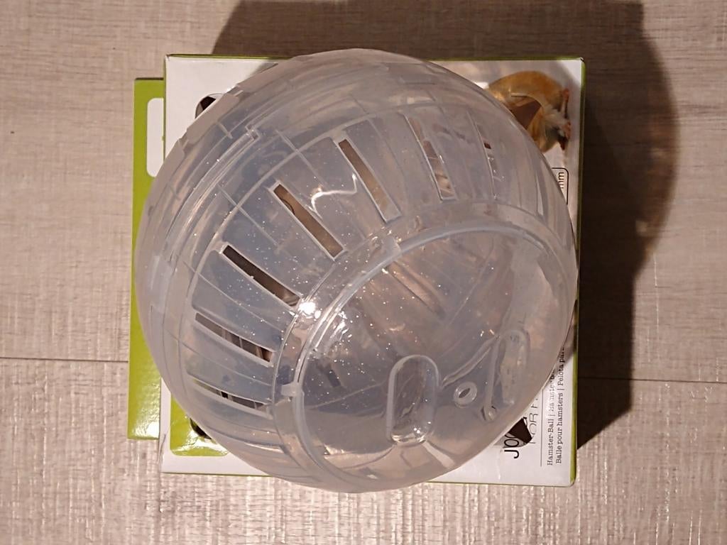 Hamster joggingbal EBI nieuw, Dieren en Toebehoren, Ophalen of Verzenden, Nieuw, Loopwiel of Rad