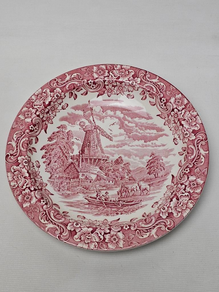 # Royal Tudor Ware bord met molen decor, Ophalen of Verzenden