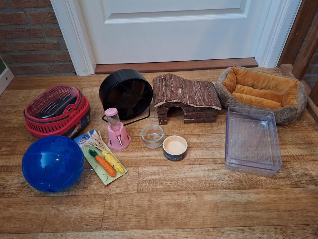 Hamster, Dieren en Toebehoren, Ophalen