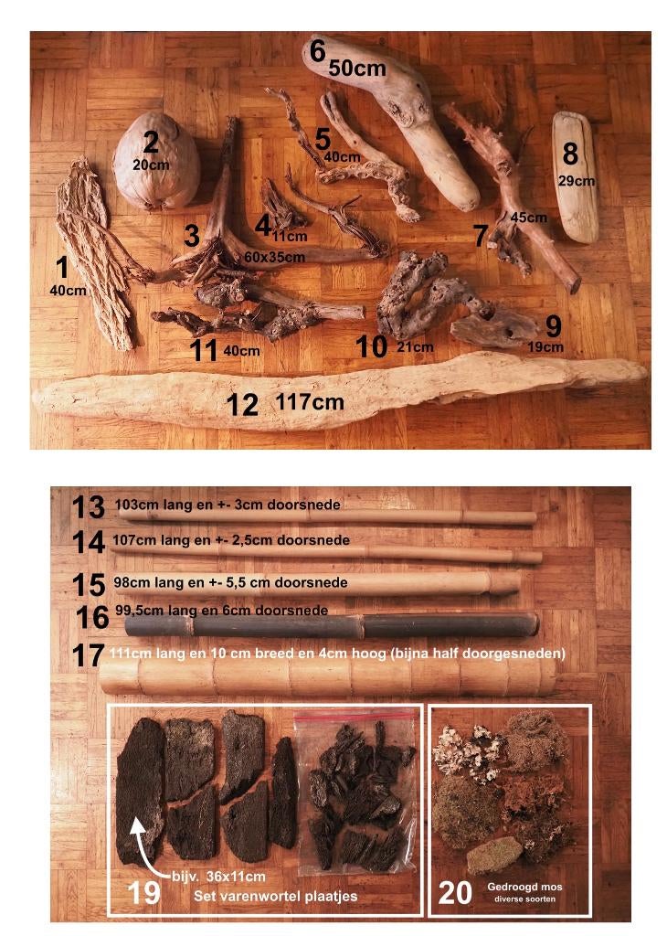 Terrarium Decoratie: Hout, Bamboe & Natuurlijke Materialen, Ophalen of Verzenden, Zo goed als nieuw, Tak, Plant, Rots of Steen