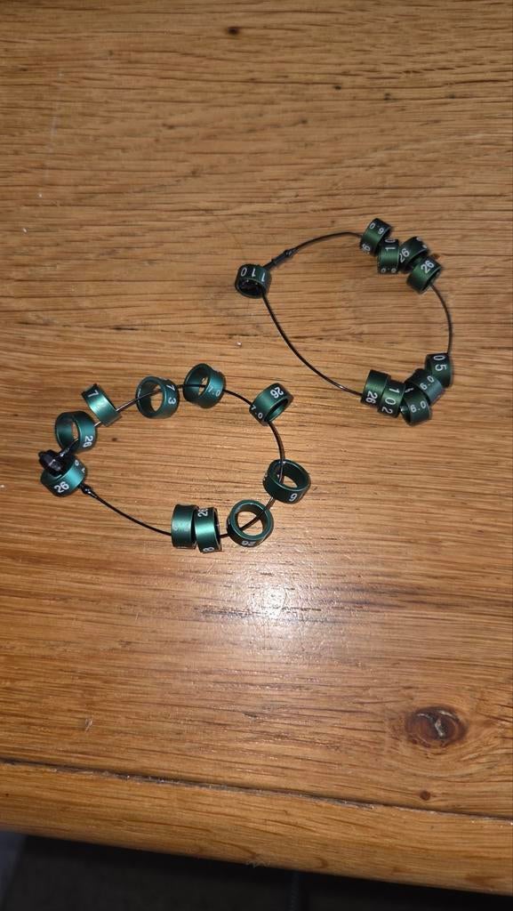 Vaste voetring, Meerdere dieren, Parkiet