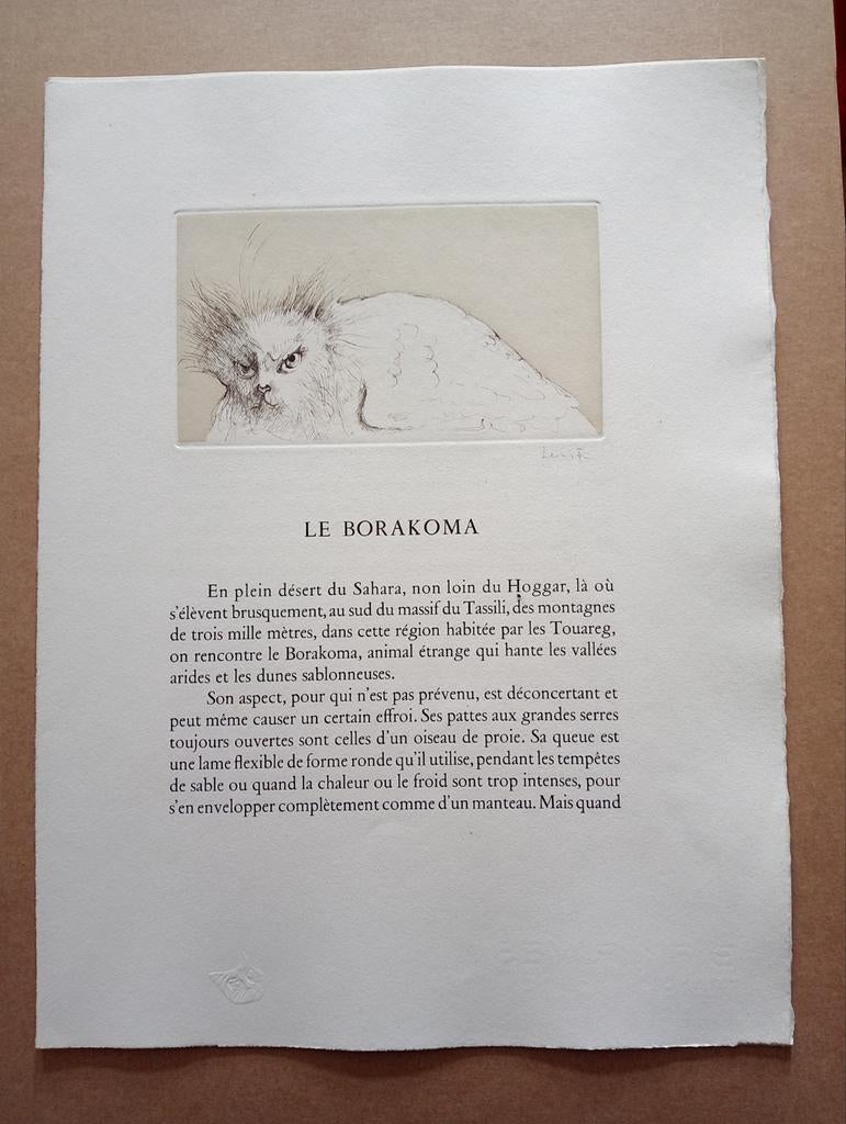 Leonor Fini Ets Le Borakoma Surrealisme 1975, Ophalen of Verzenden