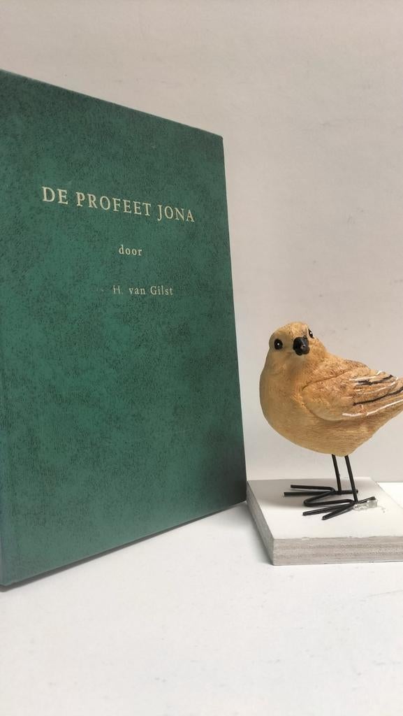 Gilst, Ds. H. van; De profeet Jona, Ophalen of Verzenden, Gelezen, Christendom | Protestants