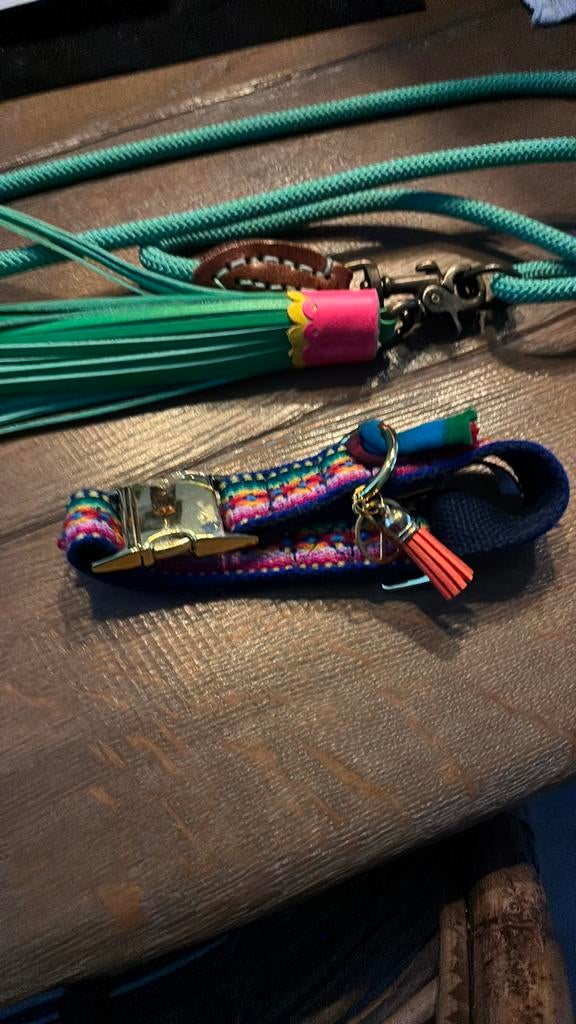Halsband plus riem hond dwam, Ophalen of Verzenden, Zo goed als nieuw