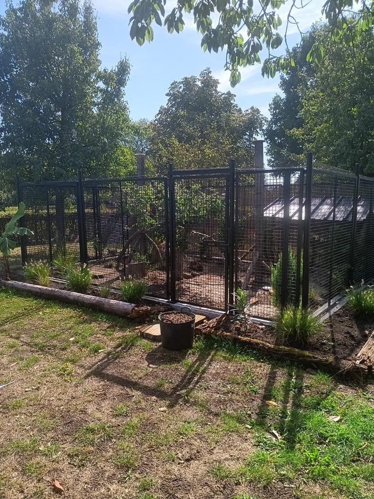 Hekwerk, Ophalen of Verzenden, IJzer