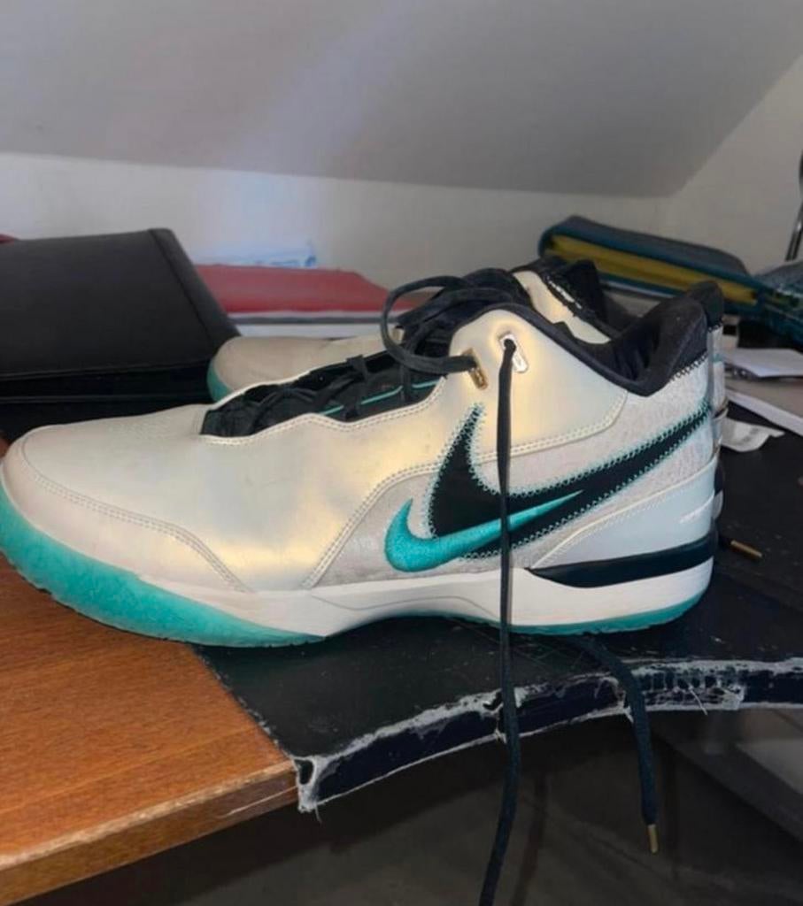 Nike LeBron NXXT Gen AMPD  - Maat 49,5, Kleding | Heren, Schoenen, Ophalen of Verzenden, Gedragen, Wit, Sneakers of Gympen